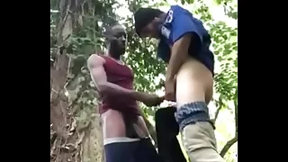 3515 fucking porn videos