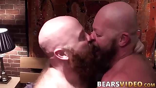 337 bears porn videos